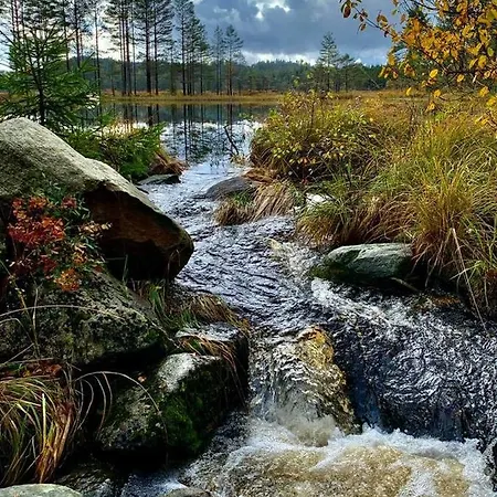 Cabin In The Woods, Lolandsvannet Near Kristiansand * Vennesla